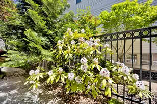 1621 W Rosehill Dr, Chicago, IL 60660 - Photo 84