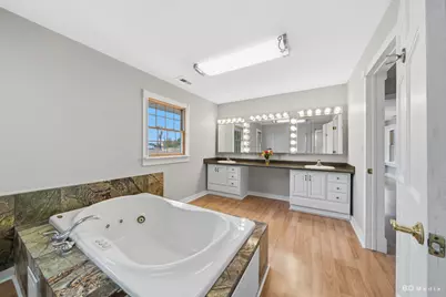 10428 S Springfield Avenue, Chicago, IL 60655 - Photo 28