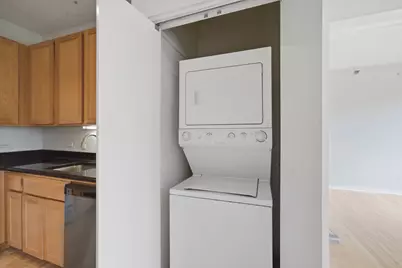1 E 8th Street #302, Chicago, IL 60605 - Photo 8