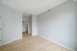 1 E 8th St, Chicago, IL 60605 - Photo 10