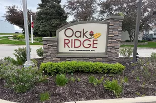 662 Alder, Manteno, IL 60950 - Photo 22