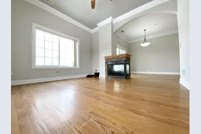 219 N White Street, Frankfort, IL 60423 - Photo 26