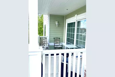 219 N White Street, Frankfort, IL 60423 - Photo 46