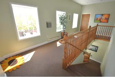 219 N White Street, Frankfort, IL 60423 - Photo 24