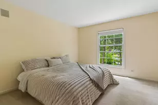 1014 Kauai King Ct, Naperville, IL 60540 - Photo 20