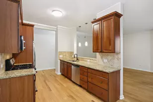 1111 S Wabash Ave, Chicago, IL 60605 - Photo 10