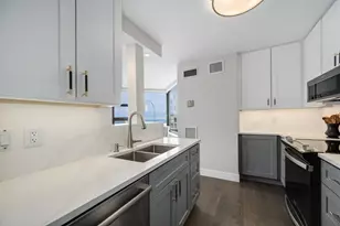 401 E Ontario St, Chicago, IL 60611 - Photo 12