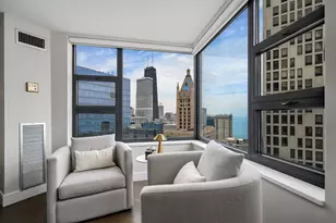 401 E Ontario St, Chicago, IL 60611 - Photo 8