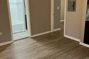 7724 S Avalon Ave, Chicago, IL 60619 - Photo 10