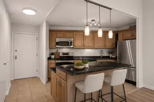 211 E Ohio St, Chicago, IL 60611 - Photo 6
