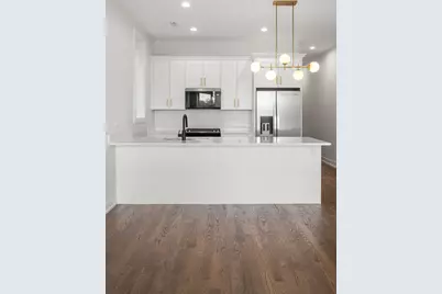 420 E 50th Place #1, Chicago, IL 60615 - Photo 2