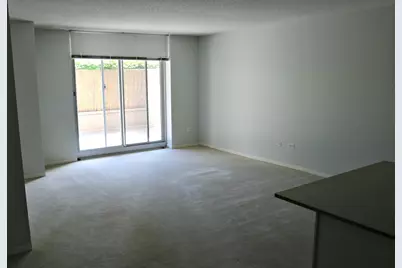 545 N Dearborn Street #W909, Chicago, IL 60654 - Photo 4