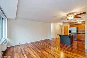 211 E Ohio St, Chicago, IL 60611 - Photo 4