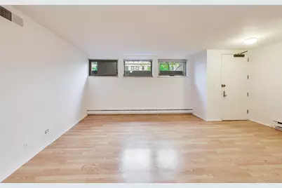 201 E Chestnut Street #1A, Chicago, IL 60611 - Photo 8