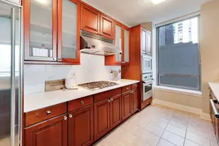 600 N Lake Shore Dr N, Chicago, IL 60611 - Photo 12