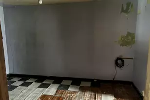 3854 S Albany Ave, Chicago, IL 60632 - Photo 16