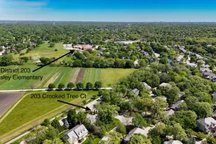 203 Crooked Tree Ct, Naperville, IL 60565 - Photo 40