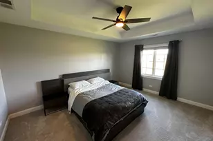 23241 Sunburst Point, Frankfort, IL 60423 - Photo 58
