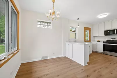 4519 Blanchan Avenue, Brookfield, IL 60513 - Photo 8