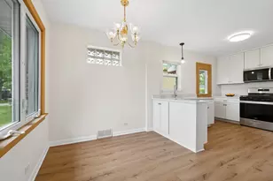 4519 Blanchan Ave, Brookfield, IL 60513 - Photo 8