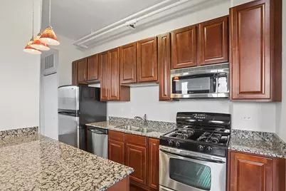 303 Front Street #1401, Lemont, IL 60439 - Photo 10