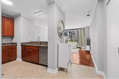 201 N Westshore Drive #903, Chicago, IL 60601 - Photo 8