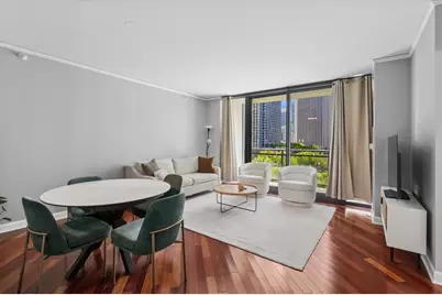 201 N Westshore Drive #903, Chicago, IL 60601 - Photo 2