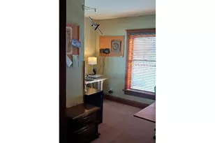 188 Peru St, Paw Paw, IL 61353 - Photo 68