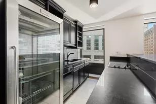 40 E Delaware Pl, Chicago, IL 60611 - Photo 10