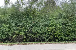000 Redbud Dr, Joliet, IL 60433 - Photo 1