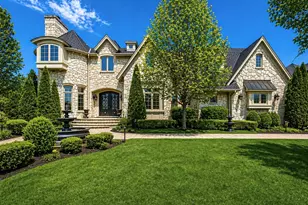 8611 Crest Ct, Burr Ridge, IL 60527 - Photo 1
