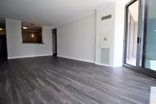 450 E Waterside Dr, Chicago, IL 60601 - Photo 2