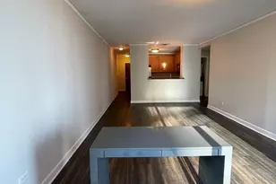 450 E Waterside Dr, Chicago, IL 60601 - Photo 4