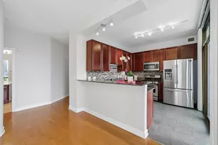 233 E 13th St, Chicago, IL 60605 - Photo 12