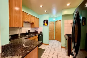 2105 S Tan Ct, Chicago, IL 60616 - Photo 8
