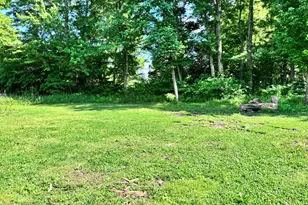4372 Cartter Rd, Kell, IL 62853 - Photo 8