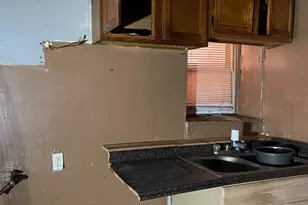 3339 W Flournoy St, Chicago, IL 60624 - Photo 4