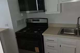 2901 S Michigan Ave, Chicago, IL 60616 - Photo 10