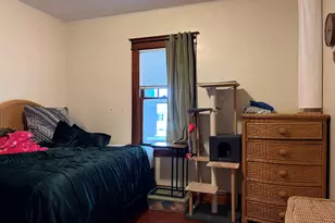 911 Clement St, Joliet, IL 60435 - Photo 16