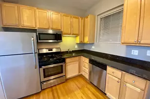 1024 W Leland Ave, Chicago, IL 60640 - Photo 4