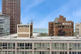 2930 N Sheridan Rd, Chicago, IL 60657 - Photo 12
