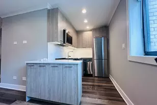 541 W Oakdale Ave, Chicago, IL 60657 - Photo 2