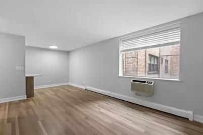 541 W Oakdale Avenue #221, Chicago, IL 60657 - Photo 4