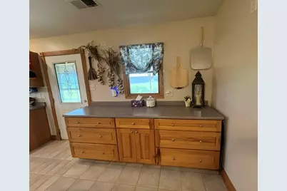 31025 N 2400 East Road, Dwight, IL 60420 - Photo 28
