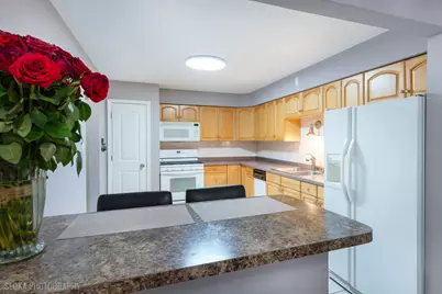 3023 N Paris Avenue #206, River Grove, IL 60171 - Photo 6