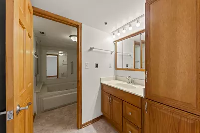 6010 Lake Bluff Drive #301, Tinley Park, IL 60477 - Photo 12