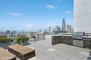 303 W Ohio St, Chicago, IL 60610 - Photo 18