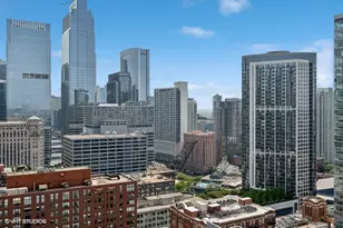 303 W Ohio St, Chicago, IL 60610 - Photo 20
