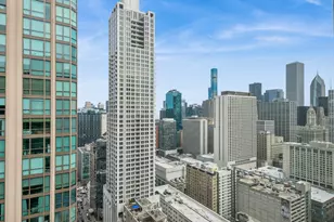 2 E Erie St, Chicago, IL 60611 - Photo 4