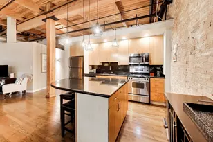 1259 N Wood St, Chicago, IL 60622 - Photo 8